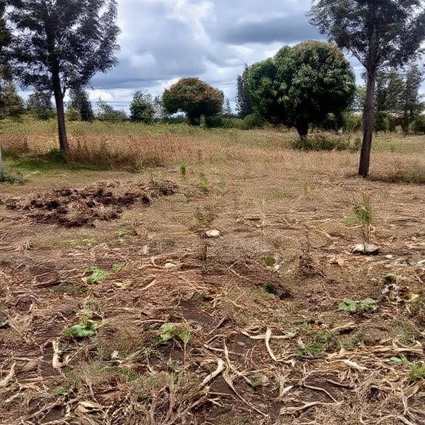 50*100ft Plots for Sale at Kenol Kimorori
