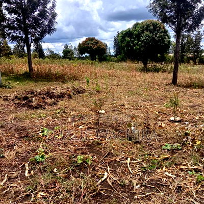 50*100ft Plots for Sale at Kenol Kimorori - Image 2