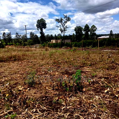 50*100ft Plots for Sale at Kenol Kimorori - Image 3