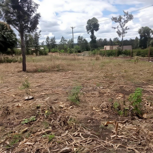 50*100ft Plots for Sale at Kenol Kimorori