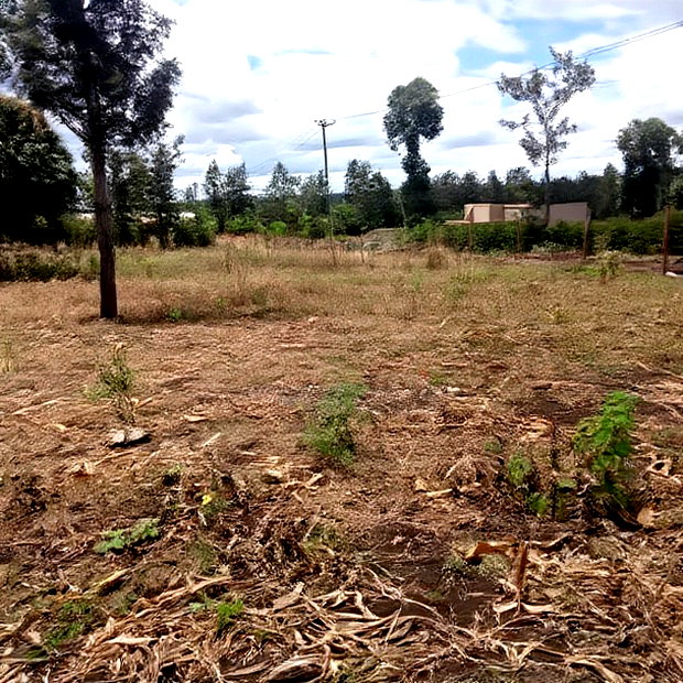 50*100ft Plots for Sale at Kenol Kimorori