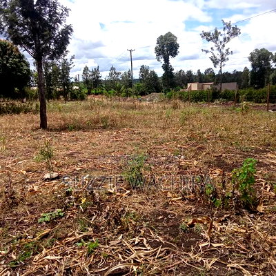 50*100ft Plots for Sale at Kenol Kimorori - Image 1