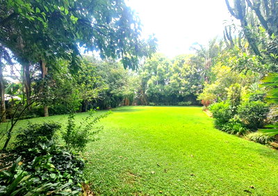 2-Acre Ambassadorial Home