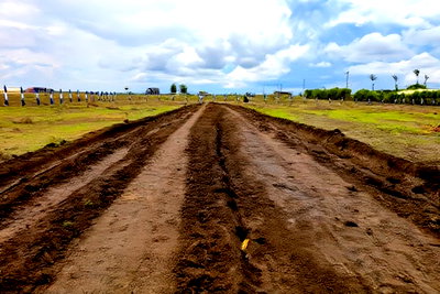 Eastern Bypass Plots^ CM