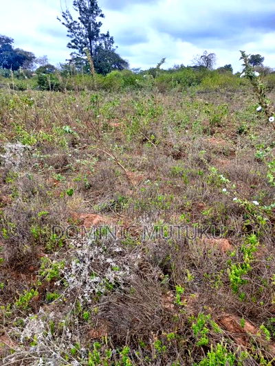 R. Athi Agricultural Land. - Image 2