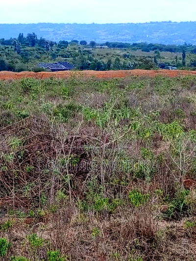 R. Athi Agricultural Land. - Image 3