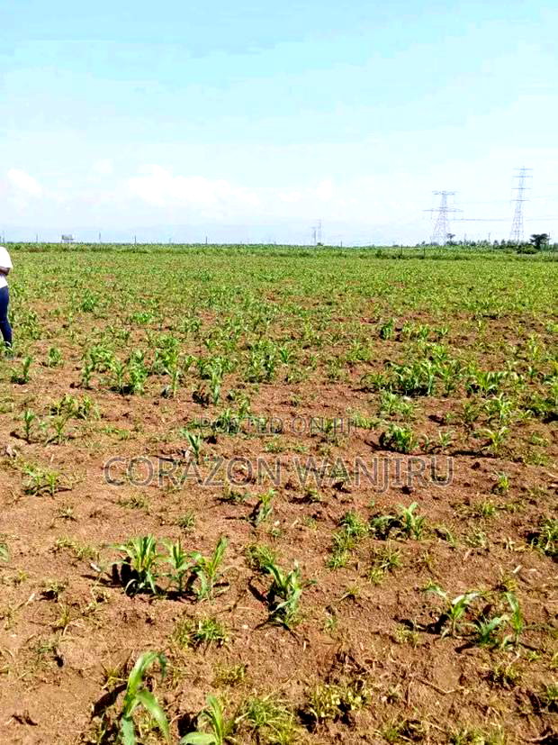 50"100plots in Nakuru Kongasis