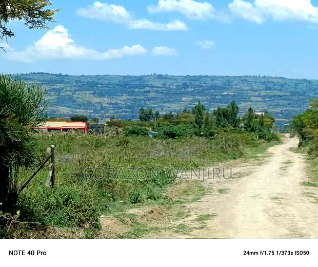 50"100plots in Nakuru Kongasis