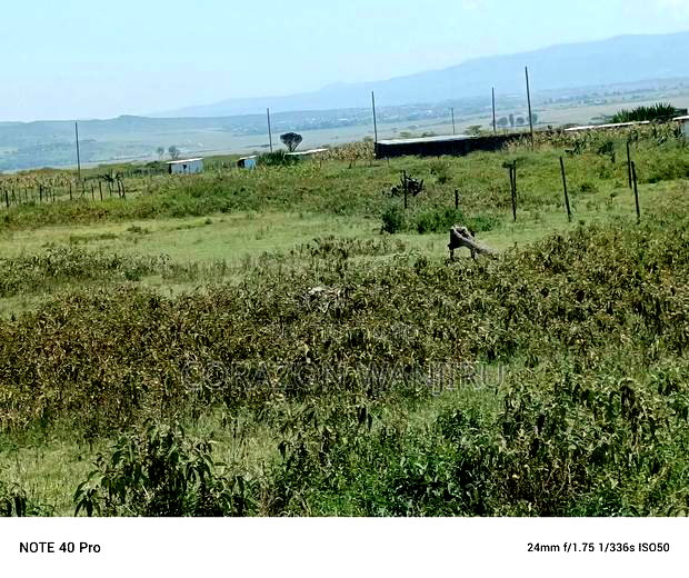50"100plots in Nakuru Kongasis