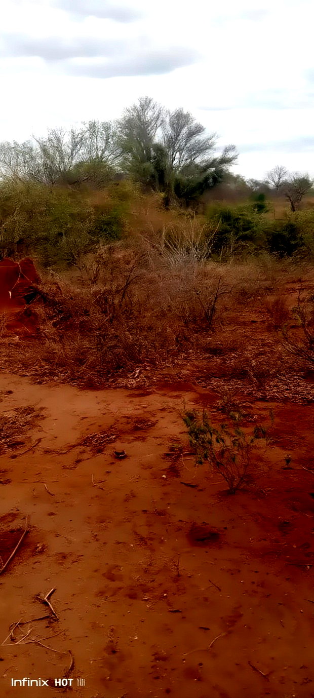 10 Acres Matutu Makueni
