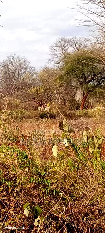 10 Acres Matutu Makueni - Image 2