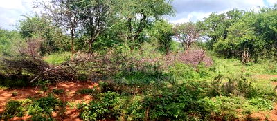 Embu County,Gitaru 10 Acres Agricultural Farmland - Image 16