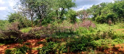 Embu County,Gitaru 10 Acres Agricultural Farmland - Image 17