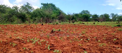 Embu County,Gitaru 10 Acres Agricultural Farmland - Image 3