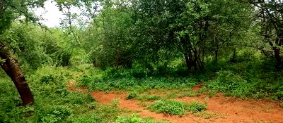 Embu County,Gitaru 10 Acres Agricultural Farmland - Image 12