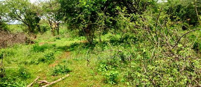 Embu County,Gitaru 10 Acres Agricultural Farmland - Image 14