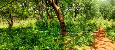 Embu County,Gitaru 10 Acres Agricultural Farmland - Image 15