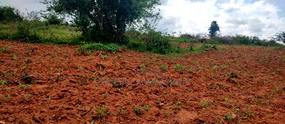 Embu County,Gitaru 10 Acres Agricultural Farmland - Image 8