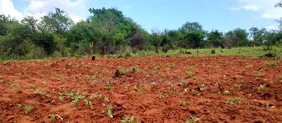 Embu County,Gitaru 10 Acres Agricultural Farmland - Image 2