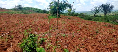 Embu County,Gitaru 10 Acres Agricultural Farmland - Image 19