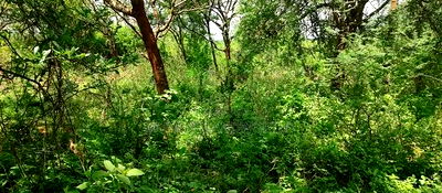 Embu County,Gitaru 10 Acres Agricultural Farmland - Image 18