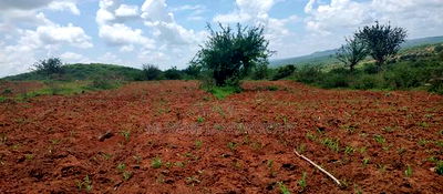 Embu County,Gitaru 10 Acres Agricultural Farmland - Image 7