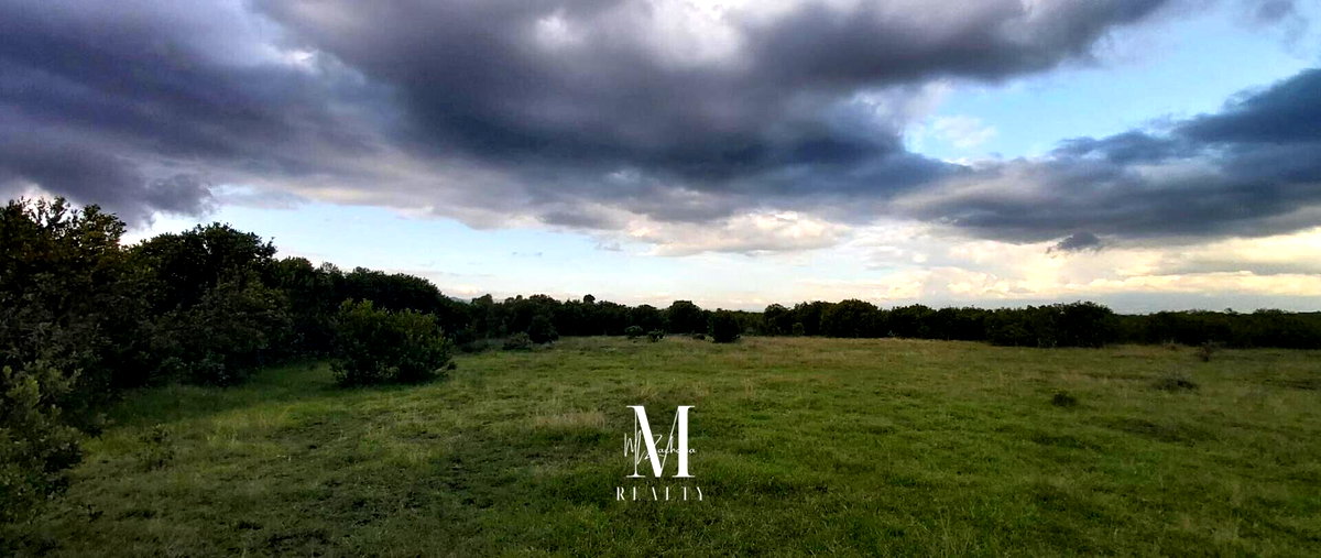 18.4-Acre Land at KSh 2M per Acre - Laikipia