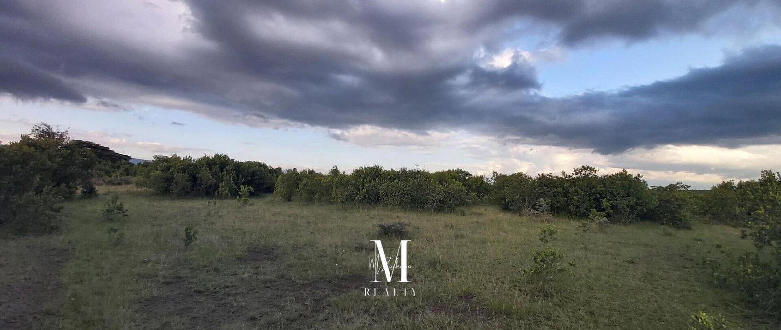 18.4-Acre Land at KSh 2M per Acre - Laikipia