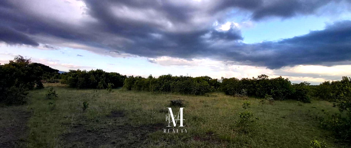 18.4-Acre Land at KSh 2M per Acre - Laikipia