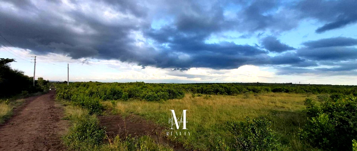18.4-Acre Land at KSh 2M per Acre - Laikipia