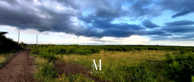 18.4-Acre Land at KSh 2M per Acre - Laikipia
