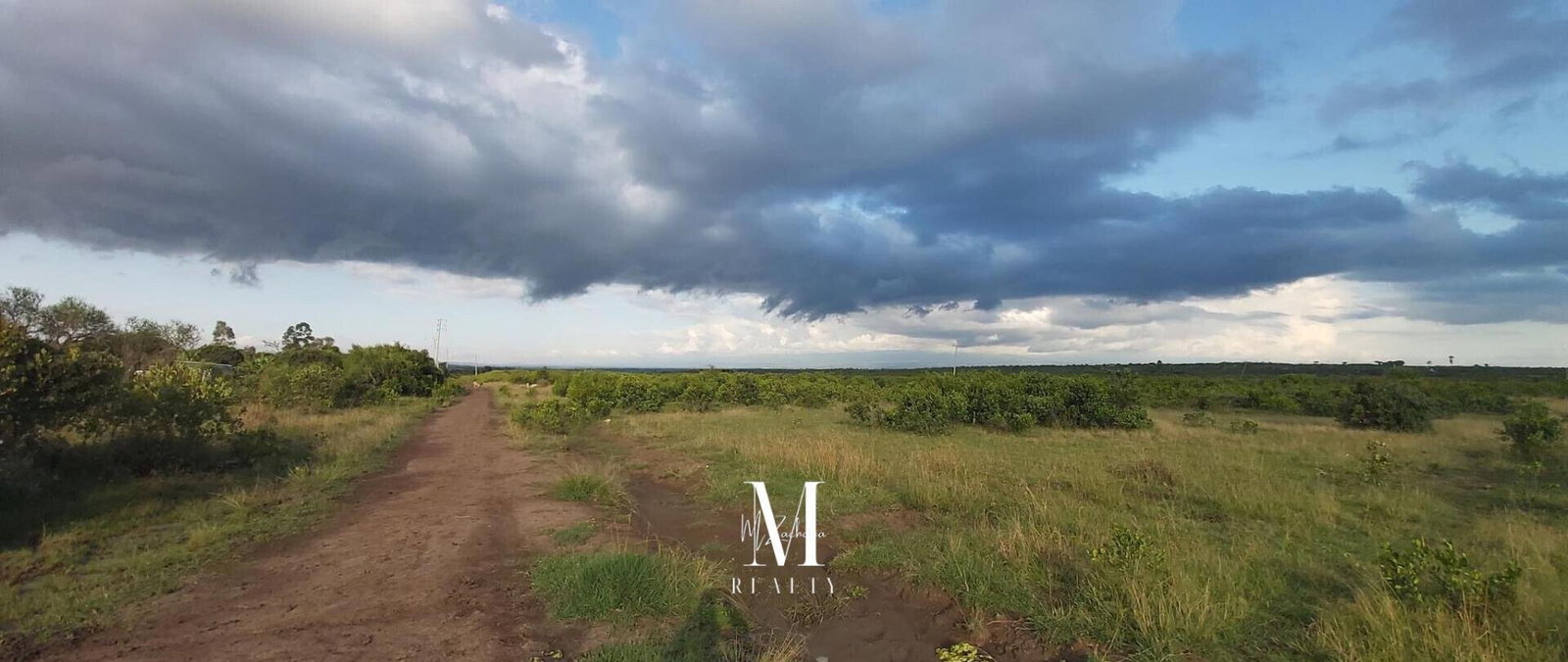 18.4-Acre Land at KSh 2M per Acre - Laikipia