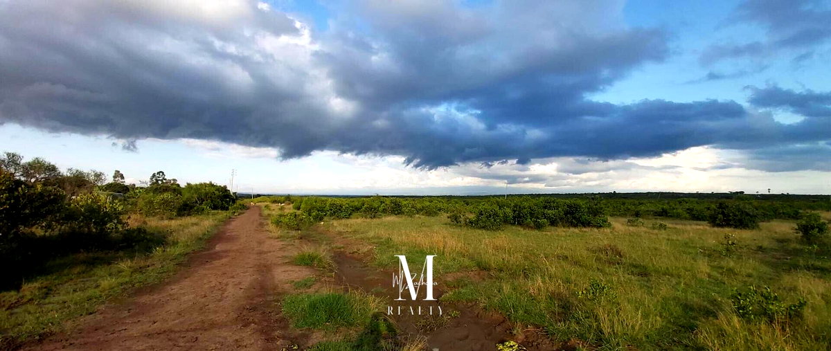 18.4-Acre Land at KSh 2M per Acre - Laikipia