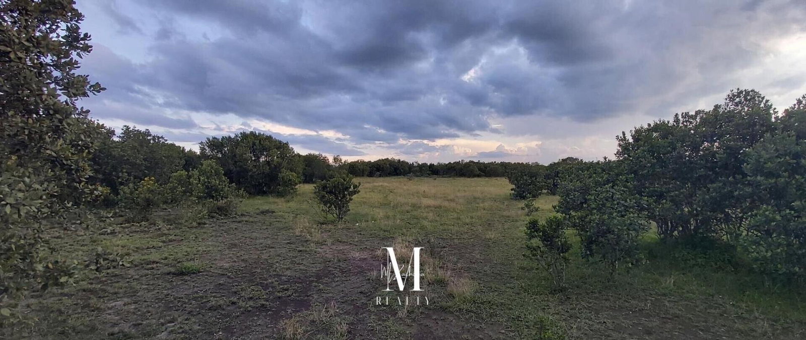 18.4-Acre Land at KSh 2M per Acre - Laikipia