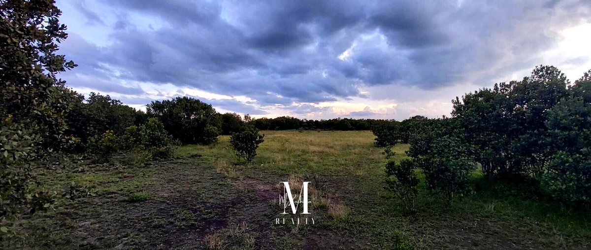 18.4-Acre Land at KSh 2M per Acre - Laikipia