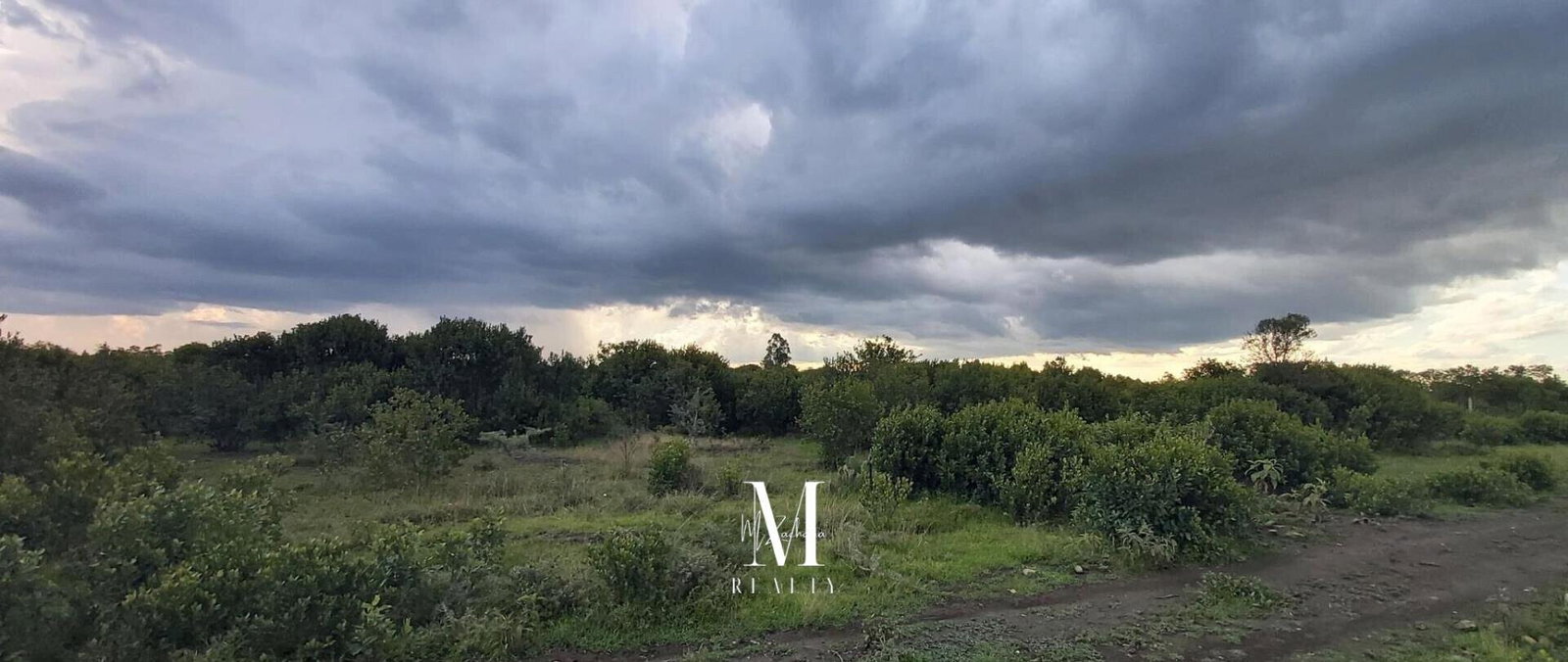 18.4-Acre Land at KSh 2M per Acre - Laikipia