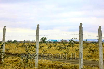 Tausi Gardens -Kantafu - Image 3