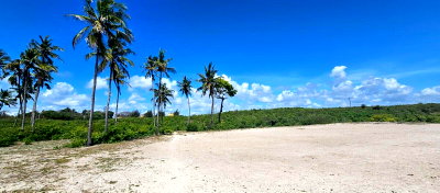 20-Acre Beachfront Gem in Watamu for KSh 28M