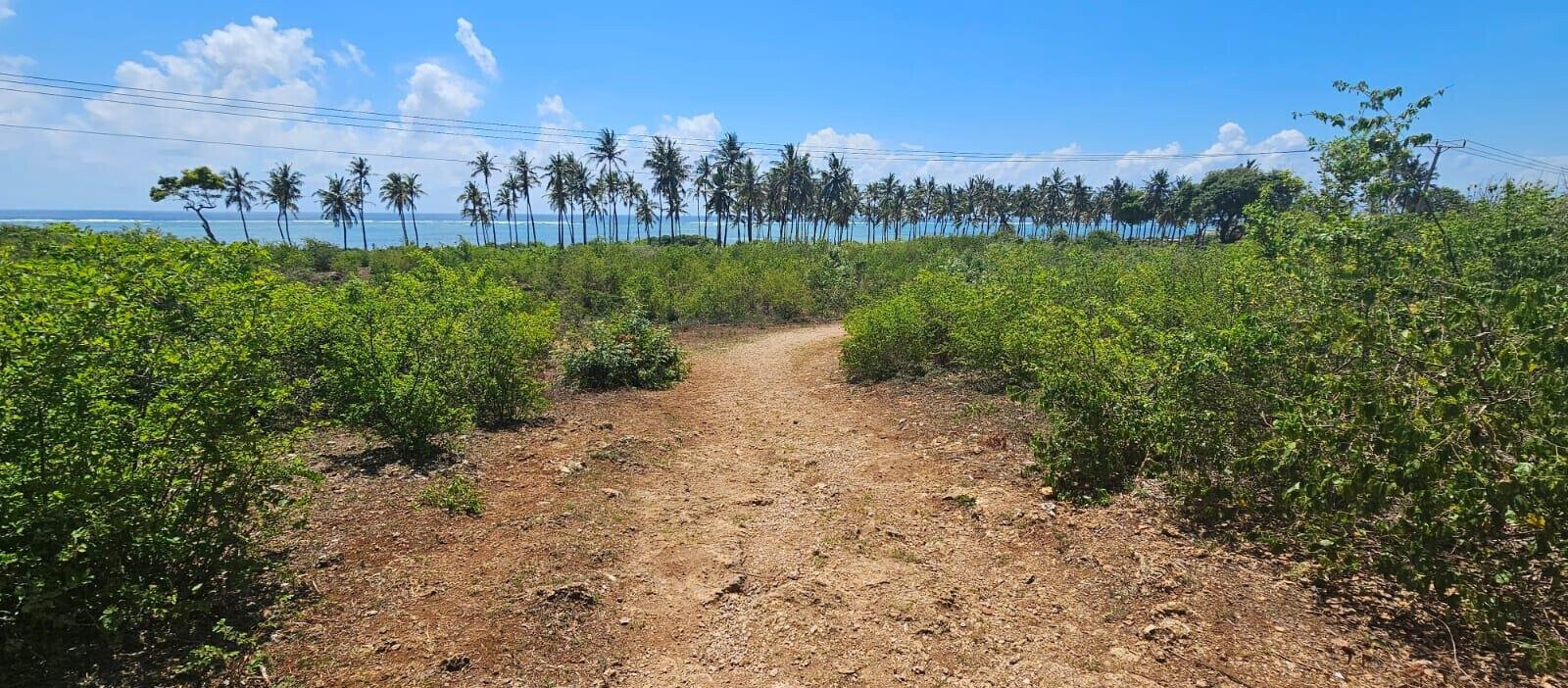 20-Acre Beachfront Gem in Watamu for KSh 28M