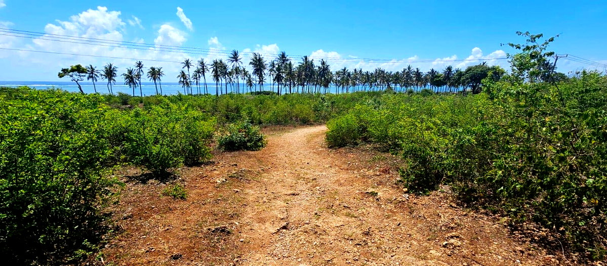 20-Acre Beachfront Gem in Watamu for KSh 28M