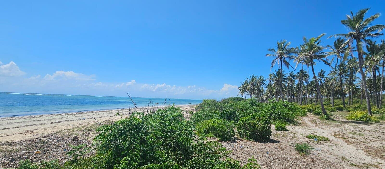 20-Acre Beachfront Gem in Watamu for KSh 28M