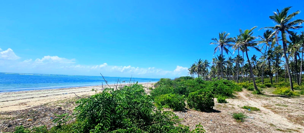 20-Acre Beachfront Gem in Watamu for KSh 28M