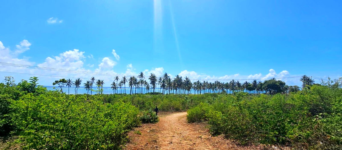 20-Acre Beachfront Gem in Watamu for KSh 28M