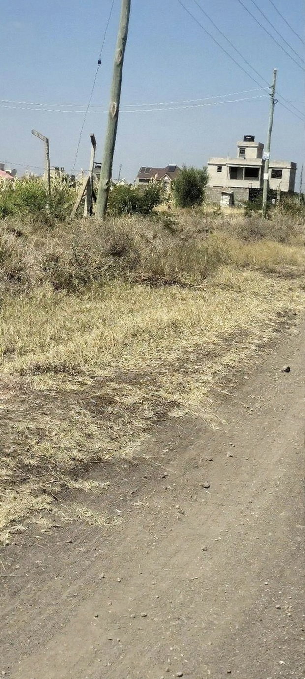 2 Plots Adjacent to Each Other at Kariani Murera