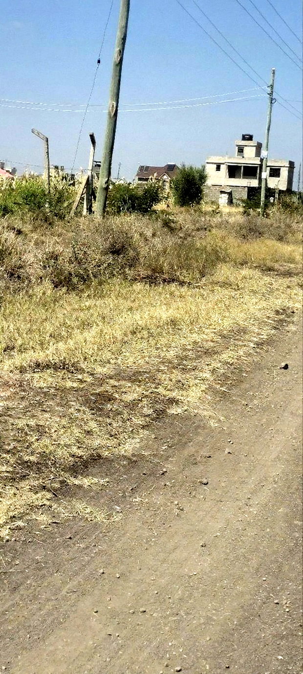 2 Plots Adjacent to Each Other at Kariani Murera