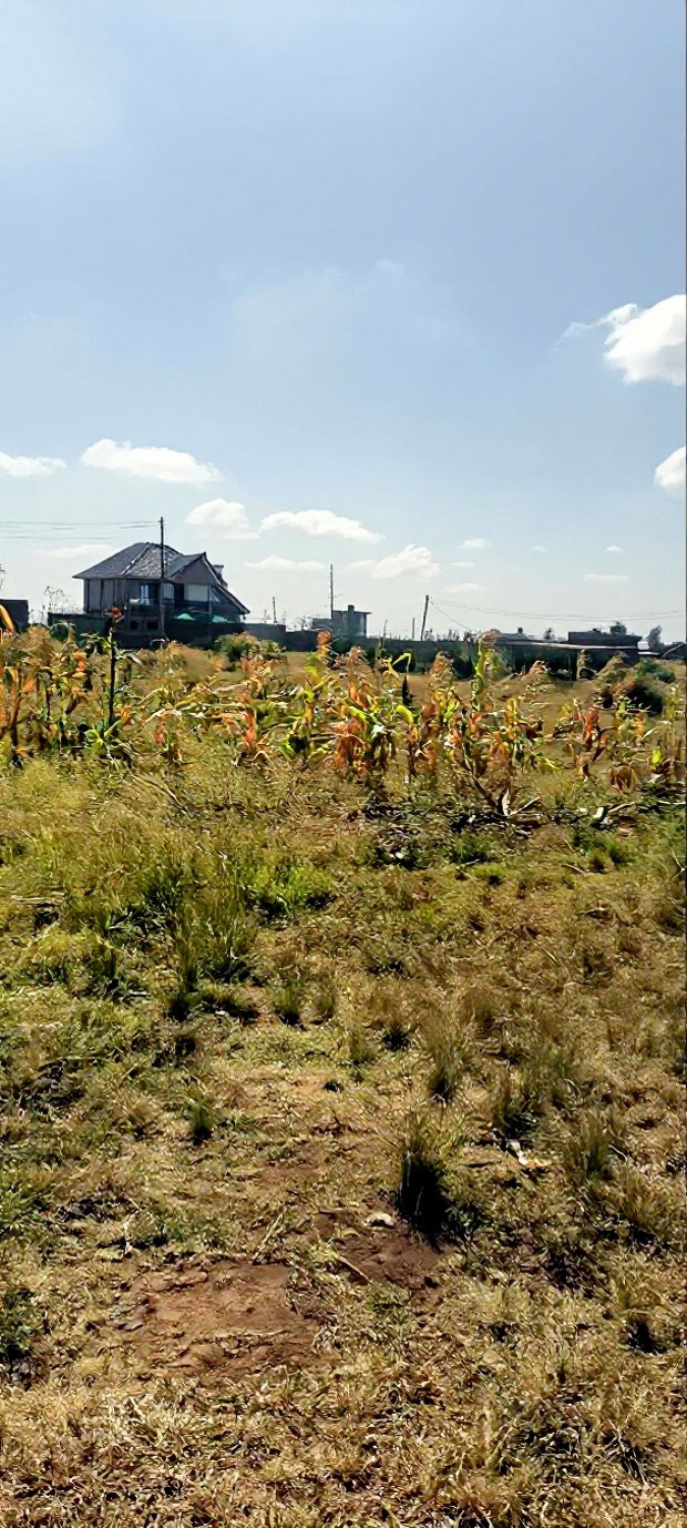 2 Plots Adjacent to Each Other at Kariani Murera