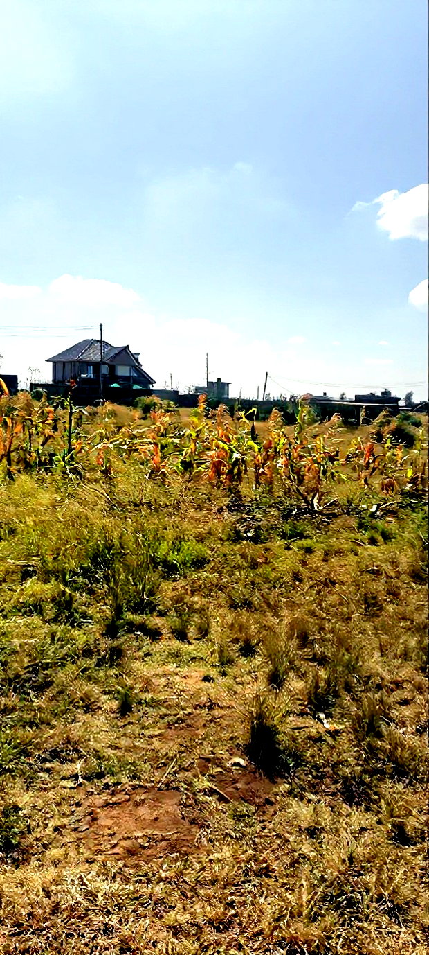2 Plots Adjacent to Each Other at Kariani Murera
