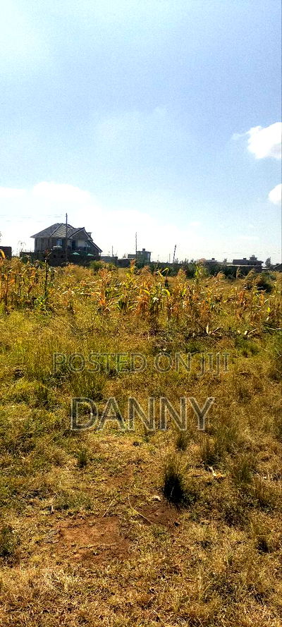 2 Plots Adjacent to Each Other at Kariani Murera - Image 3