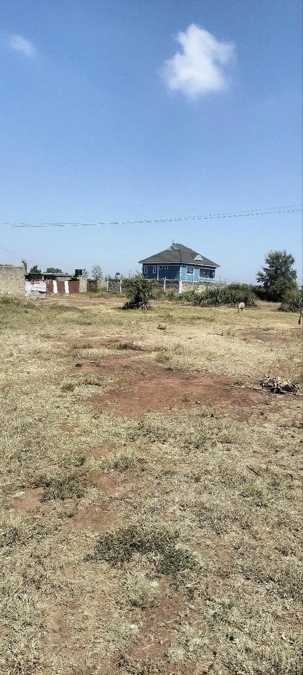 2 Plots Adjacent to Each Other at Kariani Murera