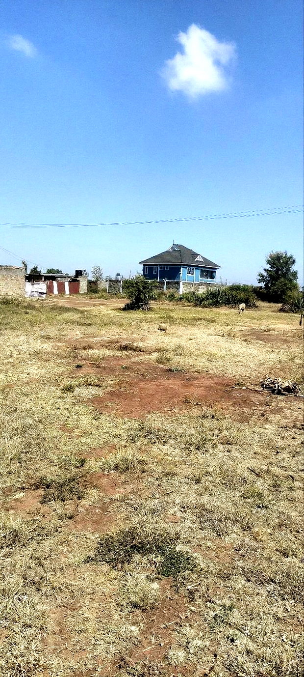 2 Plots Adjacent to Each Other at Kariani Murera